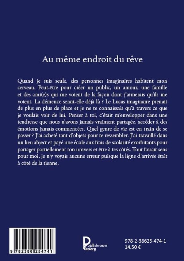 Quatrième de couverture de « AU MEME ENDROIT DU REVE »