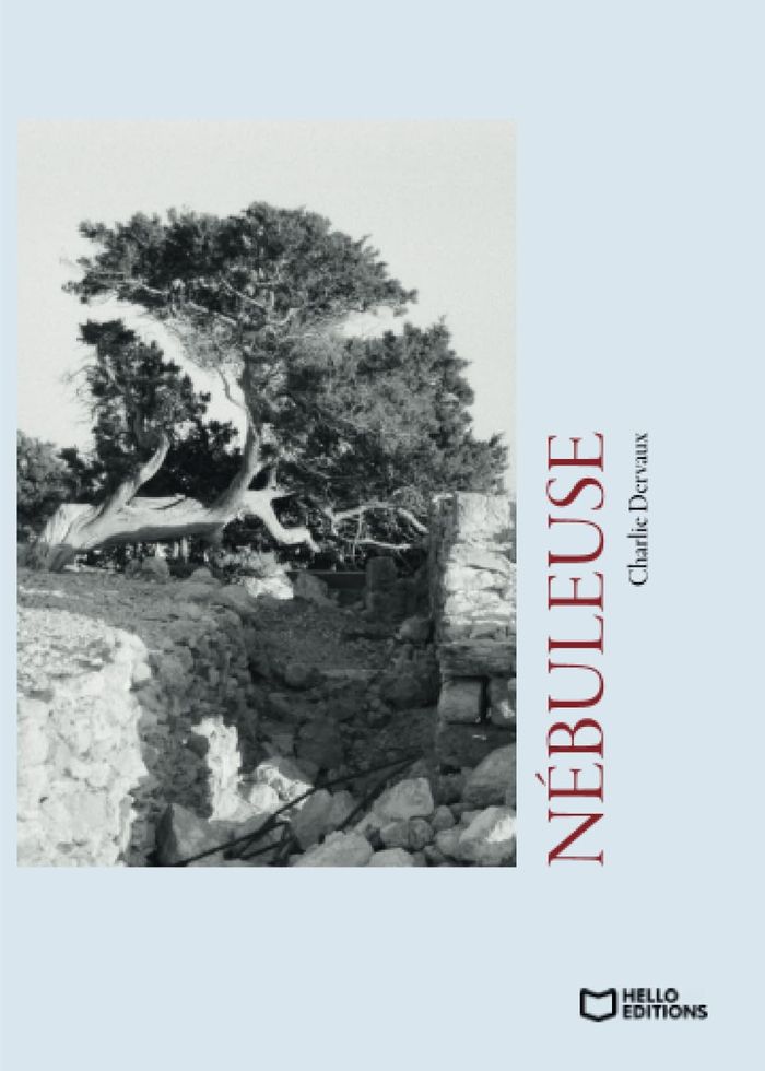 Couverture du livre « Nébuleuse » de Charlie Dervaux, librairie Les Contes Infusés à Corte