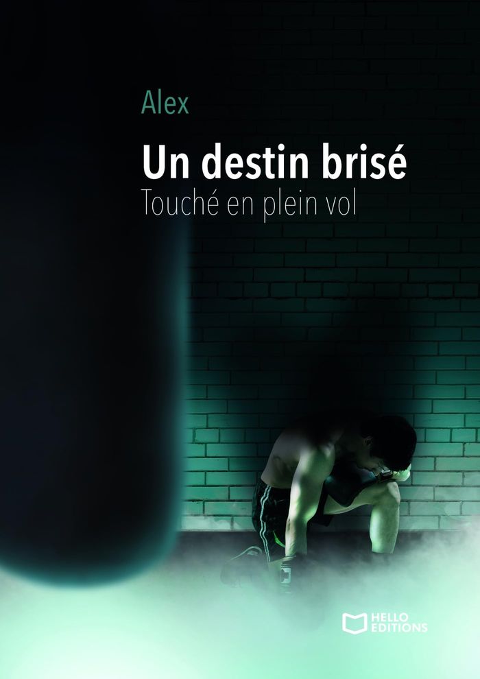Couverture du livre « UN DESTIN BRISE - TOUCHE EN PLEIN VOL » de Alex, librairie Les Contes Infusés à Corte