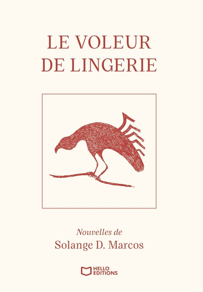 Couverture du livre « Le Voleur de Lingerie », librairie Les Contes Infusés à Corte