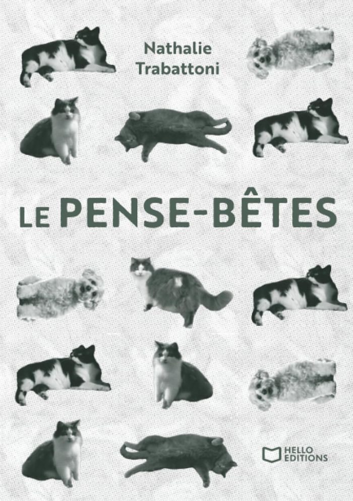Couverture du livre « Le Pense-bêtes » de Nathalie Trabattoni, librairie Les Contes Infusés à Corte