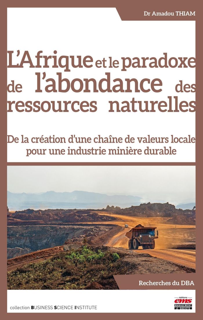 Couverture du livre « L'Afrique et le paradoxe de l'abondance des ressources naturelles : de la création d'une chaîne de valeurs locale pour une industrie minière durable » de Amadou Thiam, librairie Les Contes Infusés à Corte