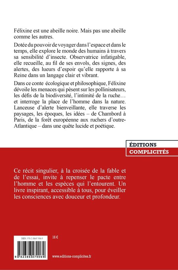Quatrième de couverture de « La double vie de Félixine : l'abeille noire »