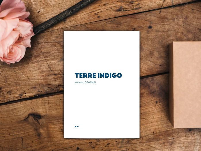 Couverture du livre « TERRE INDIGO » de Vanessa Dewamin, librairie Les Contes Infusés à Corte
