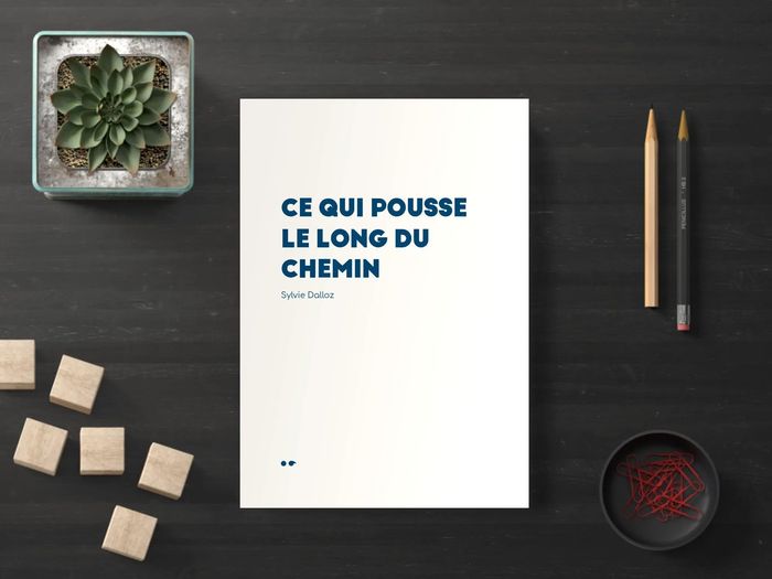 Couverture du livre « CE QUI POUSSE LE LONG DU CHEMIN », librairie Les Contes Infusés à Corte