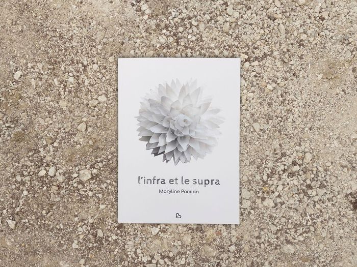 Couverture du livre « L'INFRA ET LE SUPRA » de Maryline Pomian, librairie Les Contes Infusés à Corte