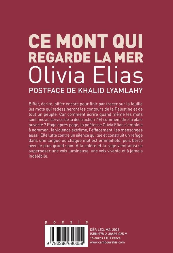 Quatrième de couverture de « Ce mont qui regarde la mer »