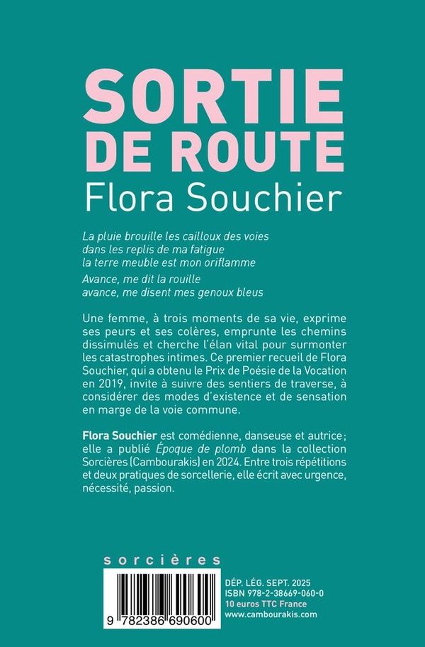 Quatrième de couverture de « Sortie de route »