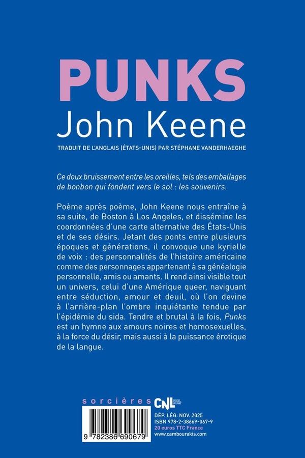 Quatrième de couverture de « Punks »