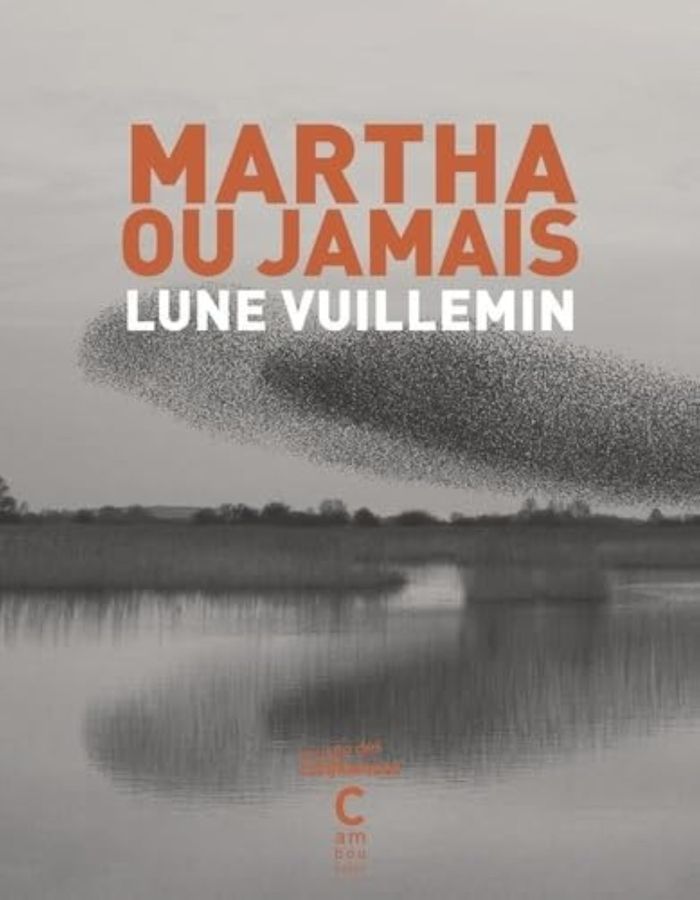 Couverture du livre « Martha ou jamais » de Lune Vuillemin, librairie Les Contes Infusés à Corte