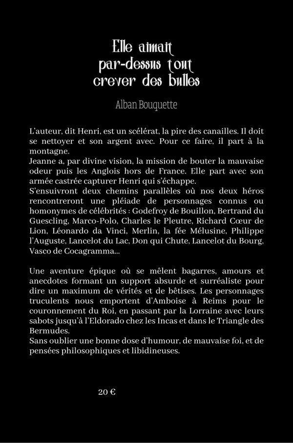 Quatrième de couverture de « Elle aimait par dessus tout crever des bulles »
