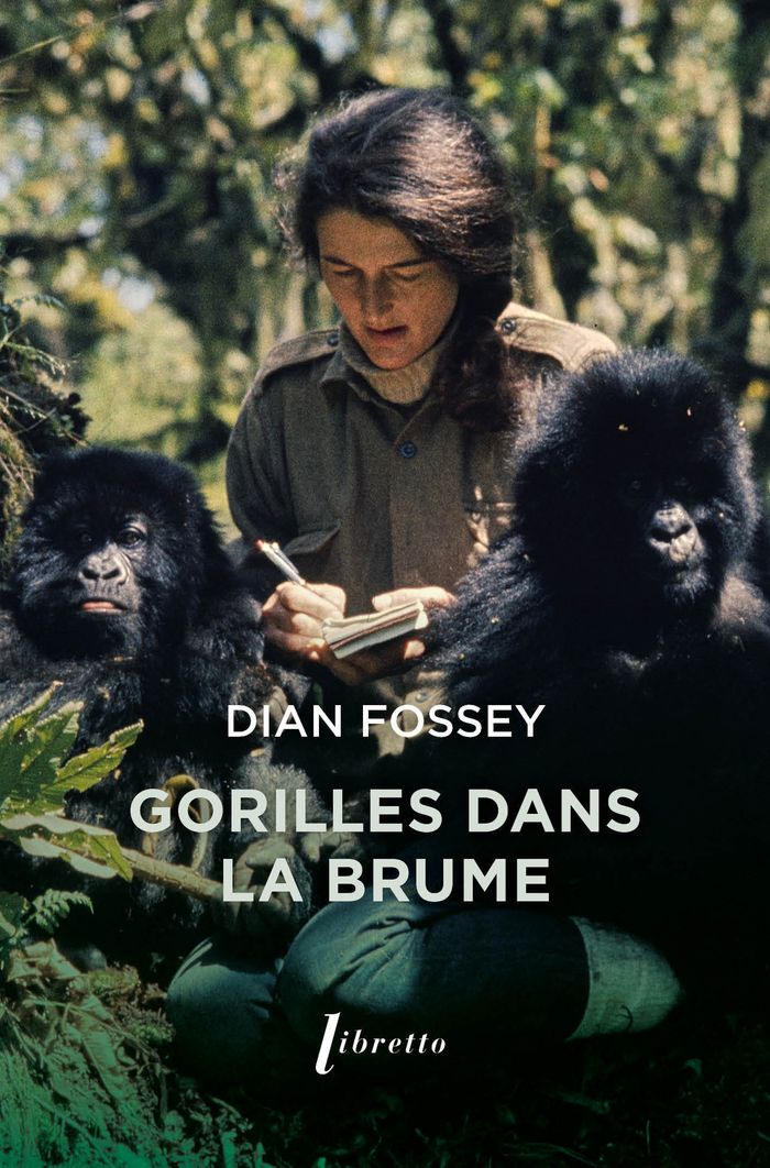 Couverture du livre « Gorilles dans la brume », librairie Les Contes Infusés à Corte