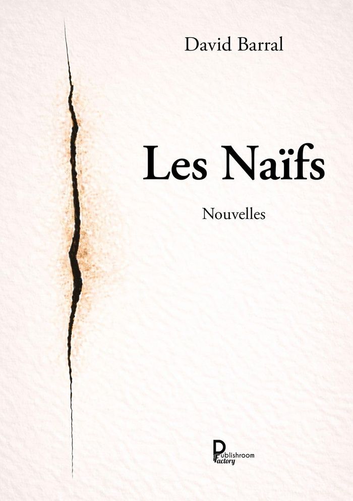 Couverture du livre « Les naïfs : nouvelles » de David Barral, librairie Les Contes Infusés à Corte