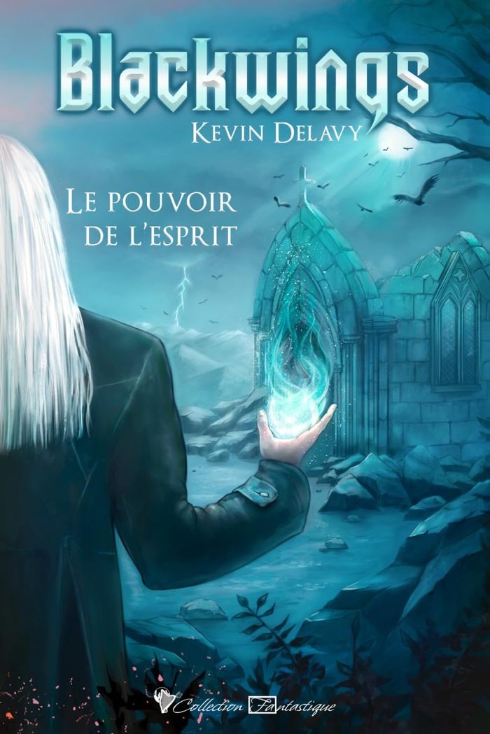Couverture du livre « Le pouvoir de l'esprit » de Kevin Delavy, librairie Les Contes Infusés à Corte