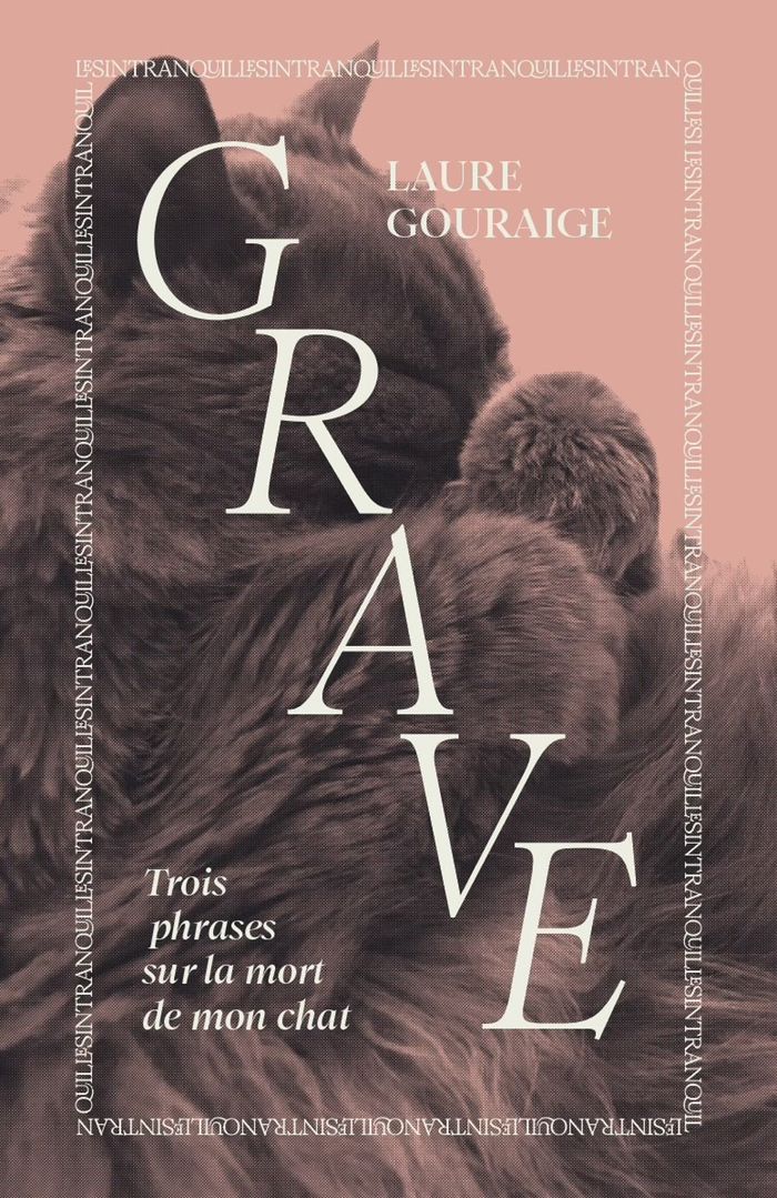 Couverture du livre « GRAVE : RENTREE LITTERAIRE 2026 » de Laure Gouraige, librairie Les Contes Infusés à Corte