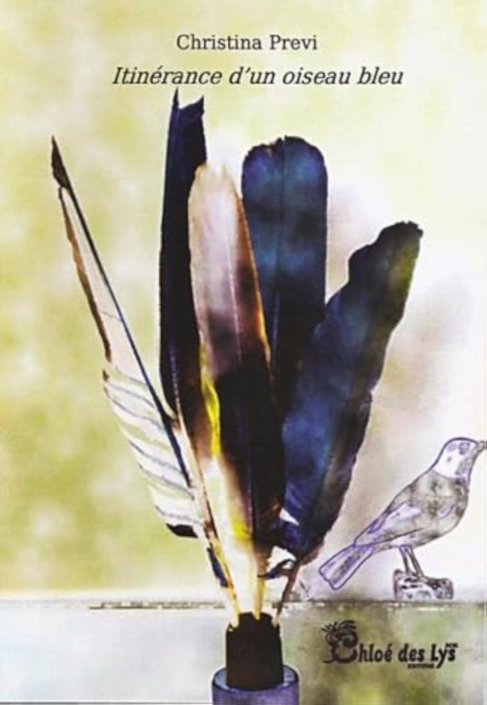 Couverture du livre « ITINERANCE D'UN OISEAU BLEU » de Christina Previ, librairie Les Contes Infusés à Corte