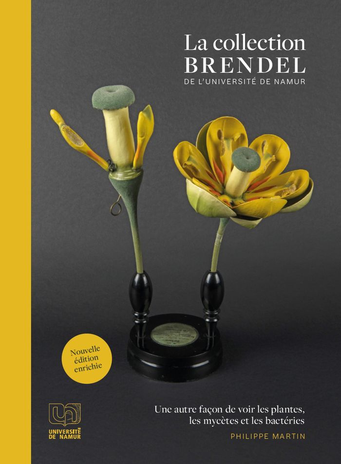 Couverture du livre « LA COLLECTION BRENDEL DE L'UNIVERSITE DE NAMUR : UNE AUTRE FACON DE VOIR LES PLANTES, LES MYCETES ET » de Philippe Martin, librairie Les Contes Infusés à Corte