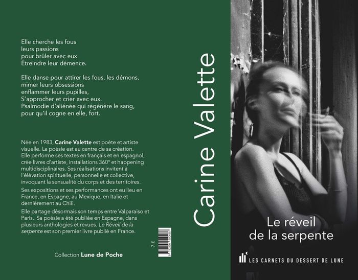 Quatrième de couverture de « Le réveil de la serpente »