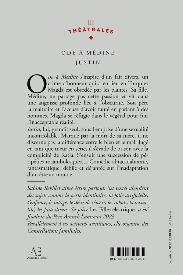 Quatrième de couverture de « Ode à Médine »