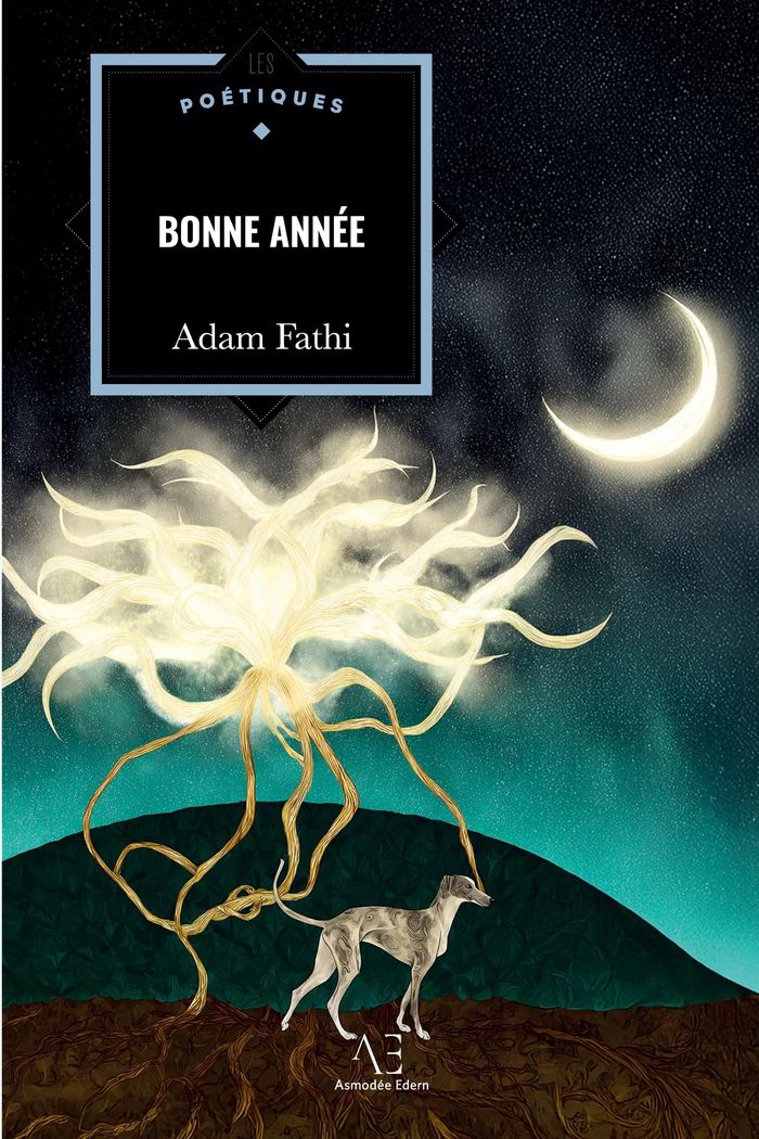 Couverture du livre « BONNE ANNEE » de Adam Fathi, librairie Les Contes Infusés à Corte