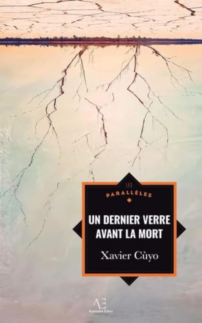 Couverture du livre « POISSON EN EAUX PEU PROFONDES », librairie Les Contes Infusés à Corte