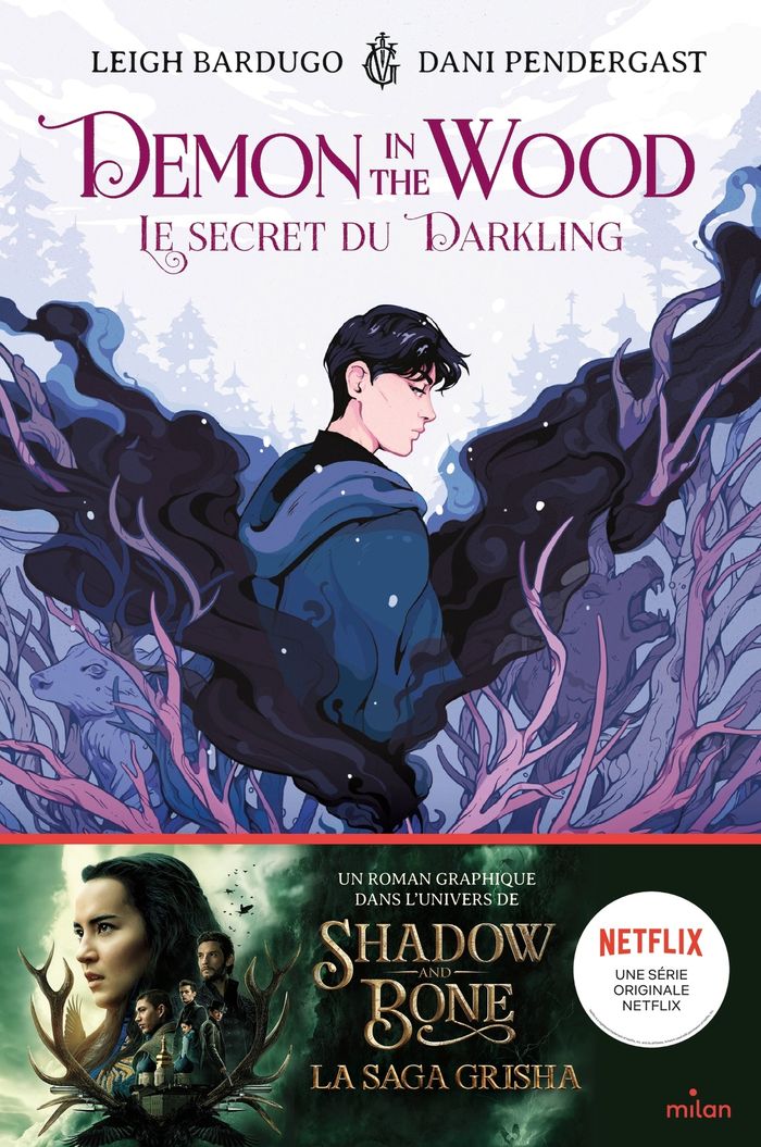Couverture du livre « Demon in the wood : le secret du Darkling », librairie Les Contes Infusés à Corte