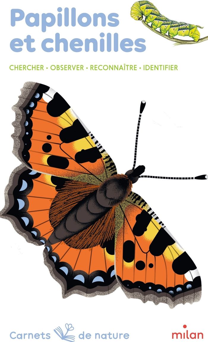 Couverture du livre « Papillons et chenilles : chercher, observer, reconnaître, identifier » de Léon Rogez, librairie Les Contes Infusés à Corte