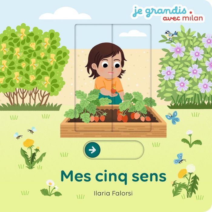 Couverture du livre « Mes cinq sens » de Ilaria Falorsi, librairie Les Contes Infusés à Corte