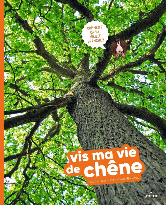 Couverture du livre « Vis ma vie de chêne » de Agatha Liévin-Bazin, librairie Les Contes Infusés à Corte
