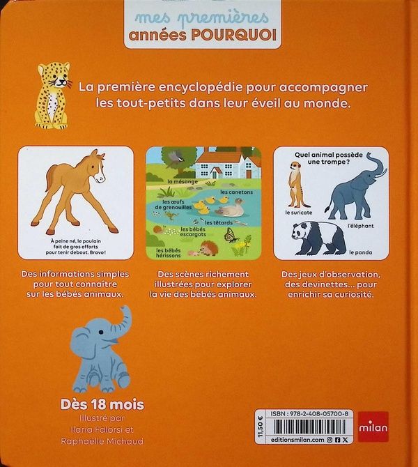 Quatrième de couverture de « Les bébés animaux »