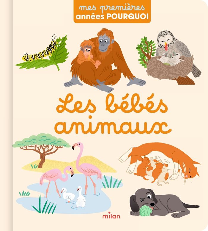 Couverture du livre « Les bébés animaux » de Stéphanie Redoulès, librairie Les Contes Infusés à Corte