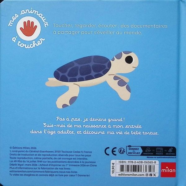 Quatrième de couverture de « La tortue »