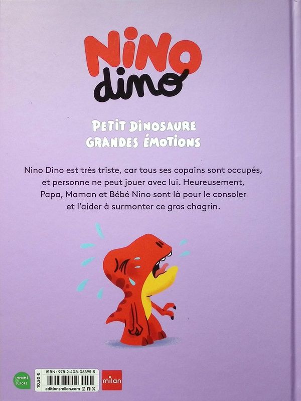 Quatrième de couverture de « Le gros chagrin »
