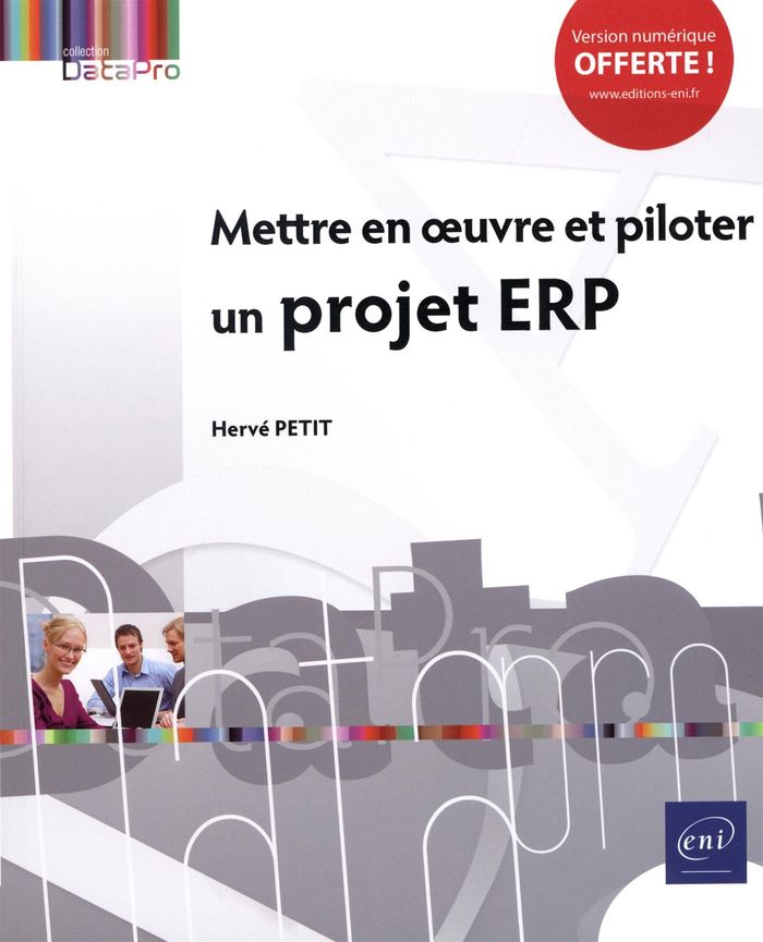 Couverture du livre « METTRE EN OEUVRE ET PILOTER UN PROJET ERP » de Herve Petit, librairie Les Contes Infusés à Corte