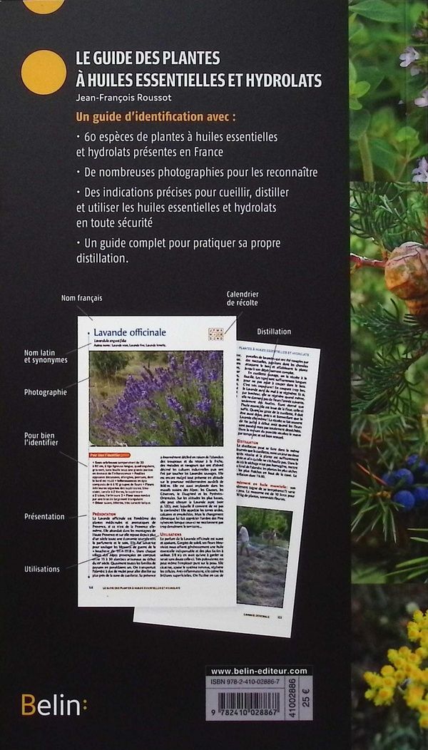 Quatrième de couverture de « Le guide des plantes à huiles essentielles et hydrolats : identification, culture, cueillette et distillation »