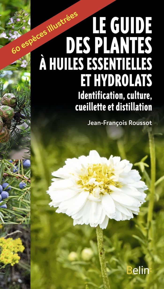 Couverture du livre « Le guide des plantes à huiles essentielles et hydrolats : identification, culture, cueillette et distillation » de Jean-François Roussot, librairie Les Contes Infusés à Corte