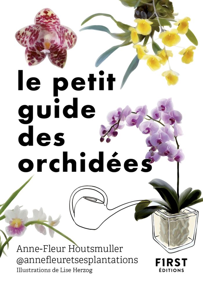 Couverture du livre « Le petit guide des orchidées : 70 espèces à découvrir » de Anne-Fleur Houtsmuller, librairie Les Contes Infusés à Corte