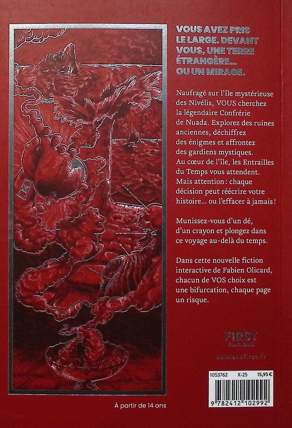 Quatrième de couverture de « LES ENTRAILLES DU TEMPS - DECIDEZ DE VOTRE DESTIN - LA SAGA DE DAGDA »
