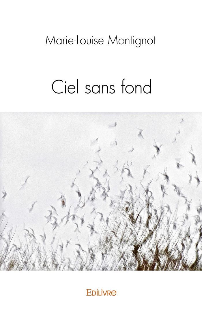Couverture du livre « CIEL SANS FOND » de M-L. Montignot, librairie Les Contes Infusés à Corte