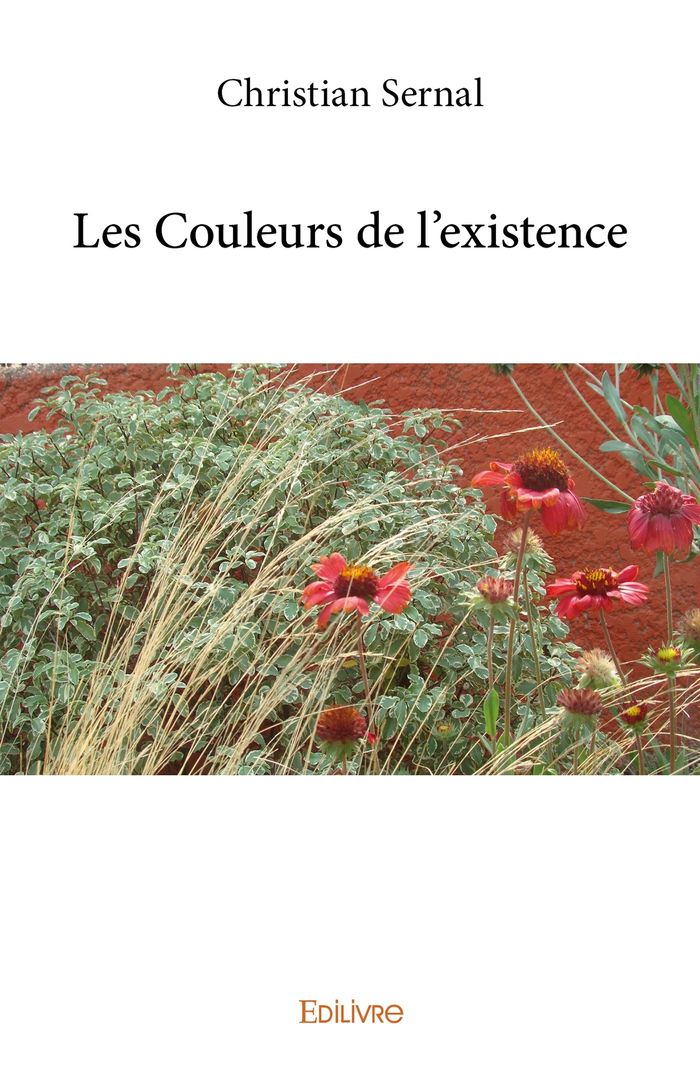 Couverture du livre « LES COULEURS DE L'EXISTENCE », librairie Les Contes Infusés à Corte