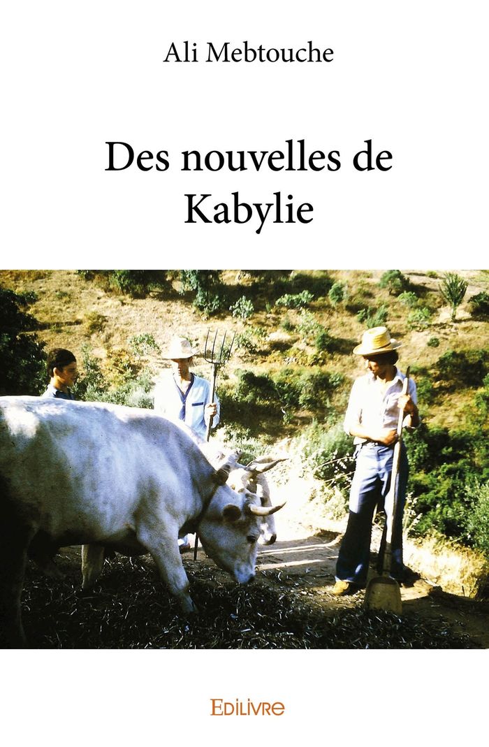 Couverture du livre « DES NOUVELLES DE KABYLIE » de Ali Mebtouche, librairie Les Contes Infusés à Corte