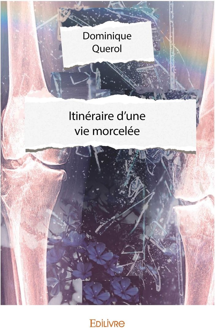 Couverture du livre « ITINERAIRE D'UNE VIE MORCELEE » de Dominique Querol, librairie Les Contes Infusés à Corte