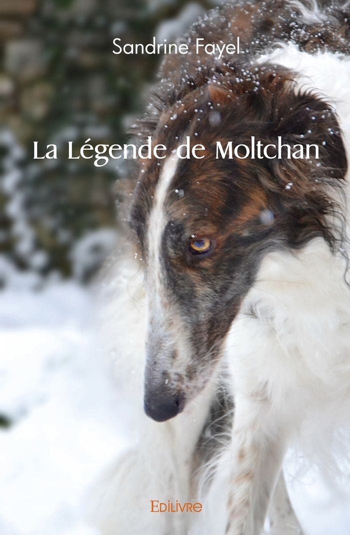 Couverture du livre « LA LEGENDE DE MOLTCHAN » de Sandrine Fayel, librairie Les Contes Infusés à Corte