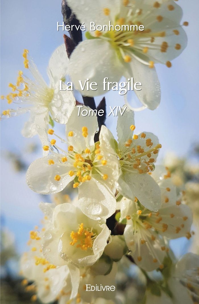 Couverture du livre « LA VIE FRAGILE - TOME 14 » de Herve Bonhomme, librairie Les Contes Infusés à Corte