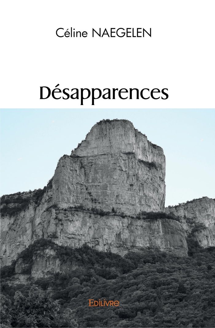 Couverture du livre « DESAPPARENCES » de Celine Naegelen, librairie Les Contes Infusés à Corte