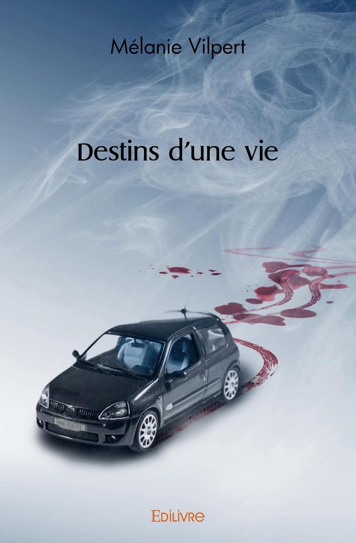 Couverture du livre « DESTINS D'UNE VIE » de Melanie Vilpert, librairie Les Contes Infusés à Corte