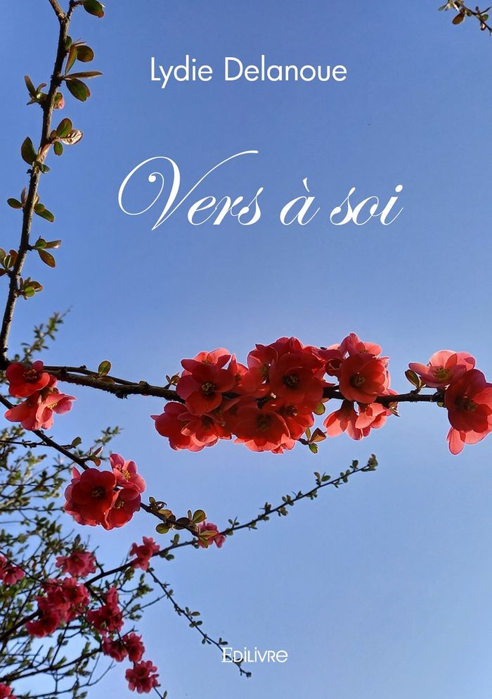 Couverture du livre « VERS A SOI » de Lydie Delanoue, librairie Les Contes Infusés à Corte