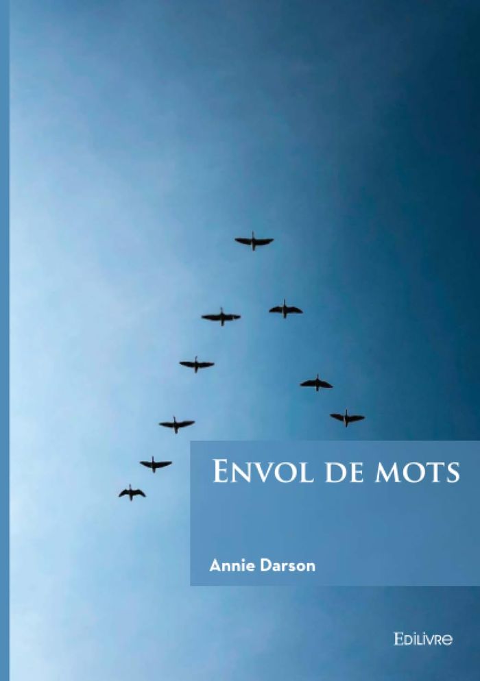 Couverture du livre « Envol de mots : Recueil de poésie et de textes » de Annie Darson, librairie Les Contes Infusés à Corte