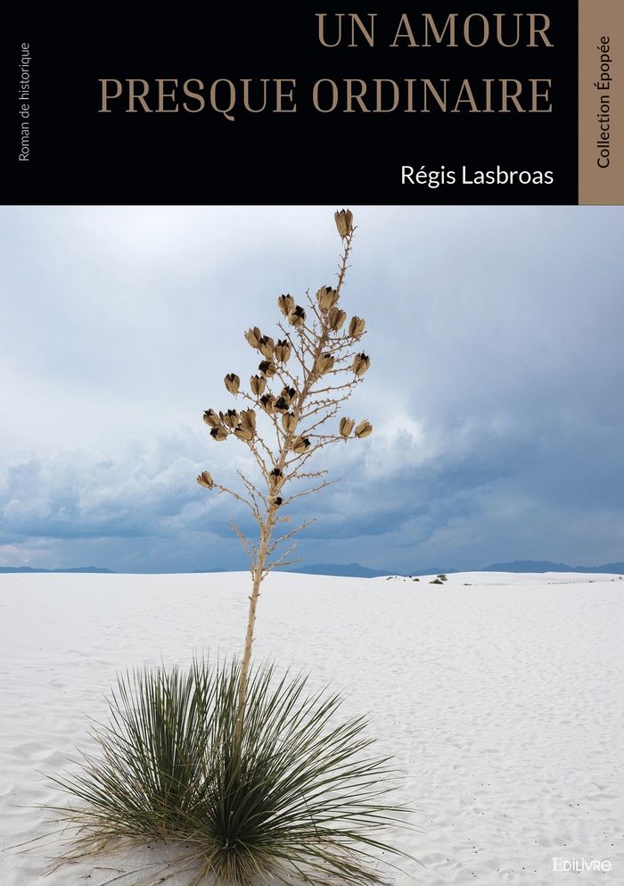 Couverture du livre « Un amour presque ordinaire : Histoire vraie » de Régis Lasbroas, librairie Les Contes Infusés à Corte