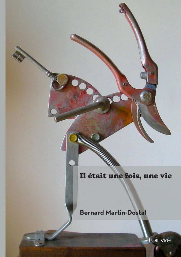 Couverture du livre « Il était une fois, une vie » de Bernard Martin-Dostal, librairie Les Contes Infusés à Corte